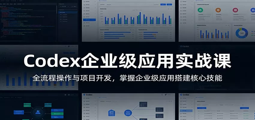 Codex企业级应用实战课：全流程操作与项目开发，掌握企业级应用搭建核心技能 - 项目资源网