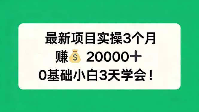 最新项目实操3个月，赚钱20000+，0基础小白3天学会！ - 项目资源网