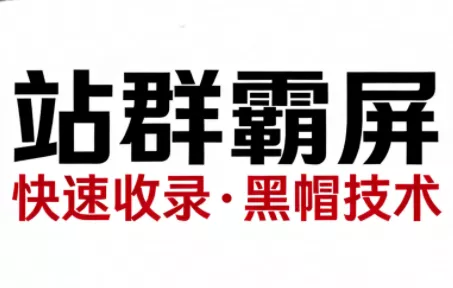 SEO野路子实战全集:快速收录、站群霸屏、黑帽技术(更新) SEO野路子实战全集:快速收录、站群霸屏、黑帽技术(更新)